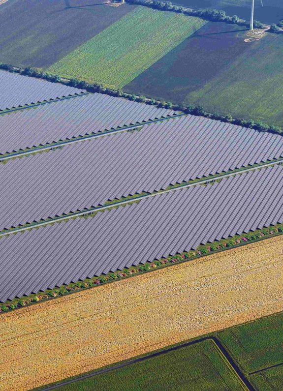 zonnepark Bellingwolde