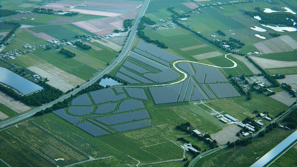 zonneweide Roodehaan