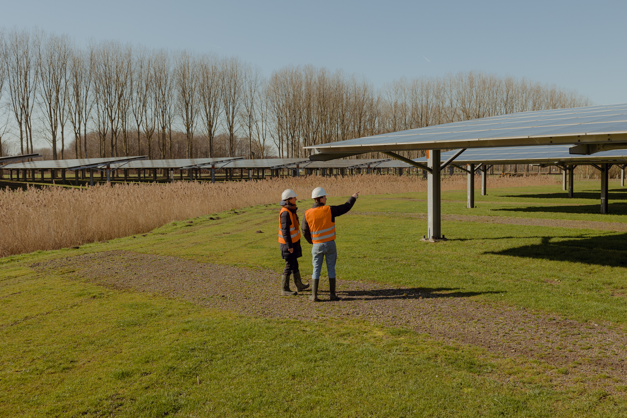 Solar carport biddinghuizen