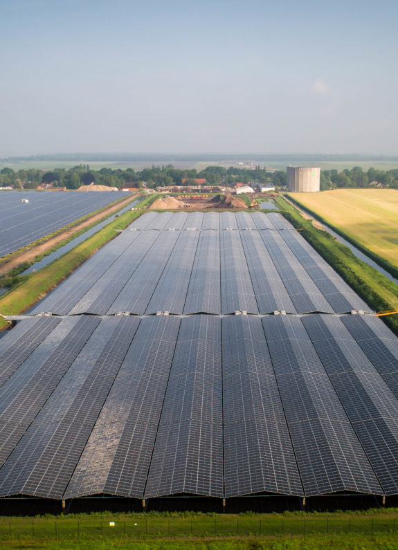 Vloeivelden Hollandia